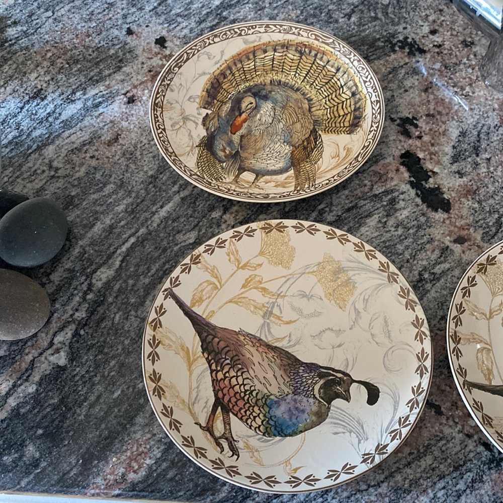 Potterybarn birds plates.